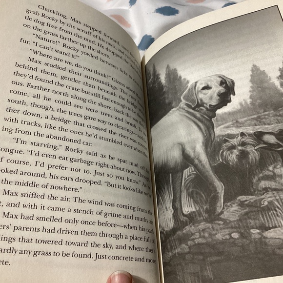 The Last Dogs: Series 4 books 1-4 Christopher Holt Paperback 🐩🐾 - Picture 9 of 9